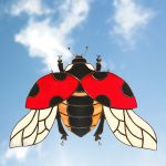 Lieveheersbeestje 27x19cm €100