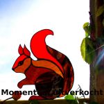 Eekhoorn 17x15cm €30